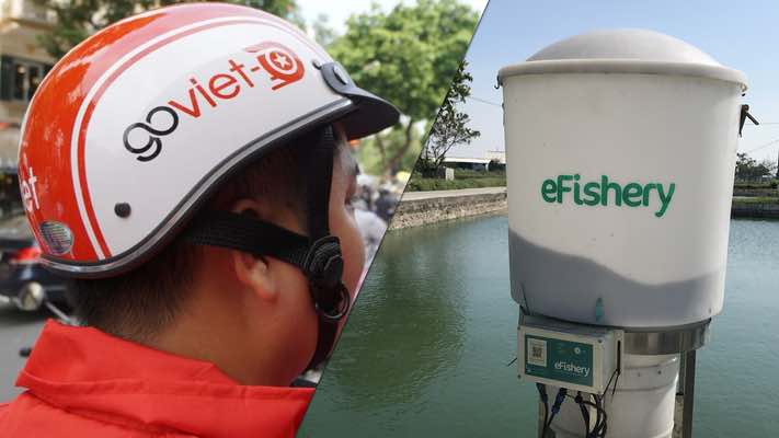 [Monthly Overview+] Gojek Vietnam tutup, dan eFishery cuan di India